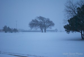 Picture 29