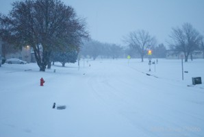 Picture 30