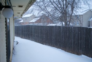 Picture 35