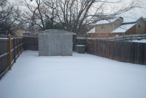 Picture 37