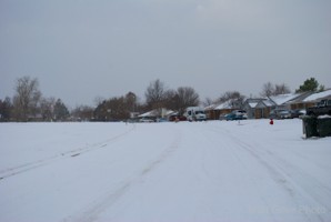 Picture 38