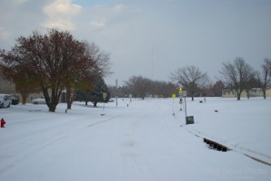 Picture 39