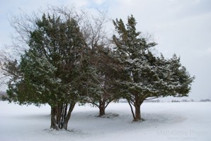 Picture 44