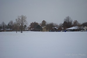 Picture 46