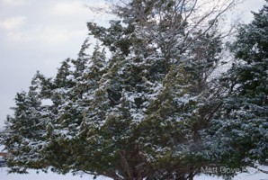 Picture 52