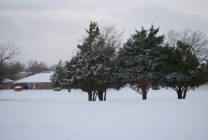 Picture 54