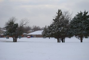 Picture 55
