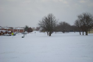 Picture 57