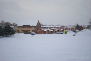 Picture 58