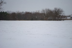 Picture 59