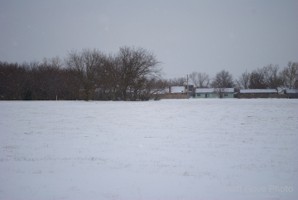 Picture 61