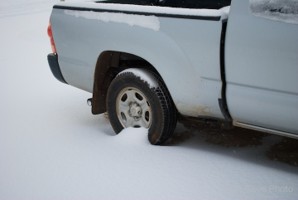 Picture 63