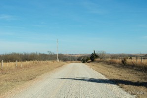 Picture 1