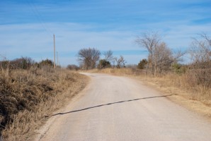 Picture 21