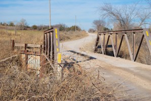 Picture 30