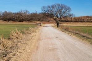 Picture 20