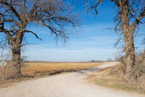 Picture 28