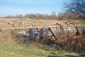 Picture 31