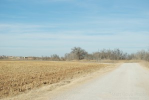 Picture 33