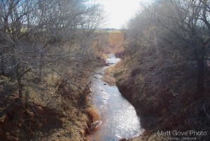 Picture 6