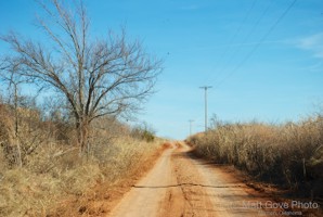 Picture 1