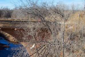 Picture 10