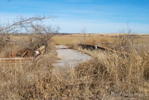 Picture 16