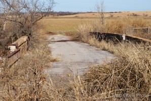 Picture 18