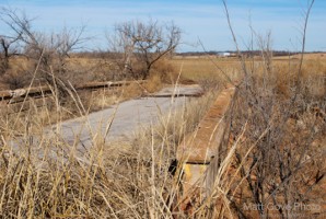 Picture 19