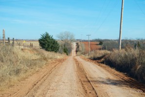 Picture 2