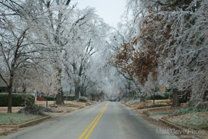 Picture 123