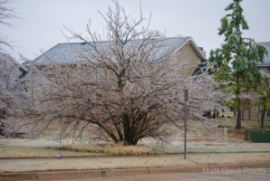 Picture 13