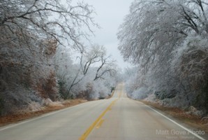 Picture 133