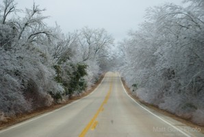 Picture 134