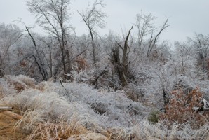 Picture 142