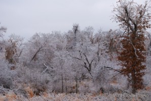 Picture 151