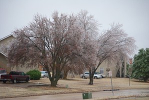 Picture 16