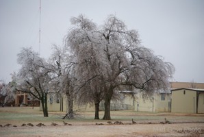 Picture 18