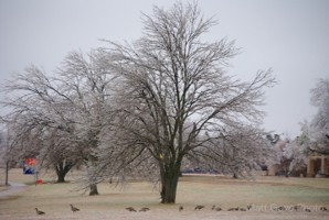Picture 19