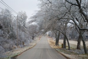 Picture 195