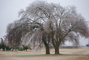 Picture 21