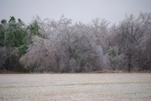 Picture 22