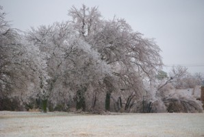 Picture 24