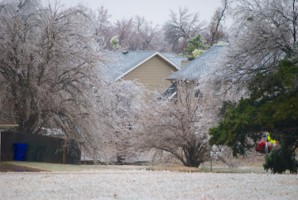 Picture 26