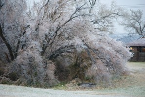 Picture 27