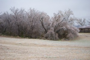 Picture 28