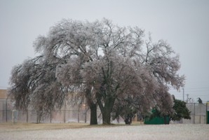 Picture 32
