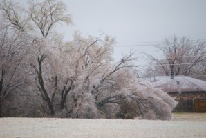 Picture 33