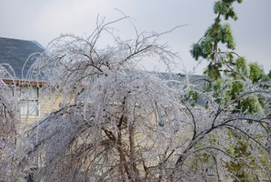 Picture 38
