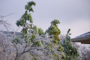 Picture 39